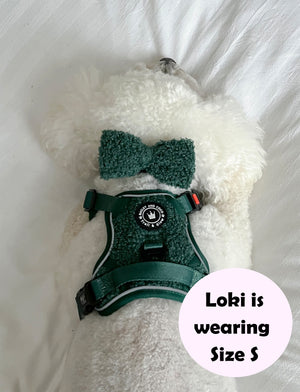 Trail & Glow® Dog Harness Bundle Set - Emerald Teddy.
