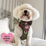 Bow Tie - COLOUR DROPS® - Olive it Hot