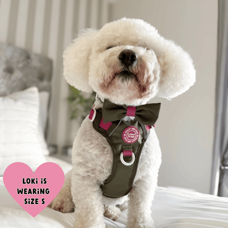Bow Tie - COLOUR DROPS® - Olive it Hot
