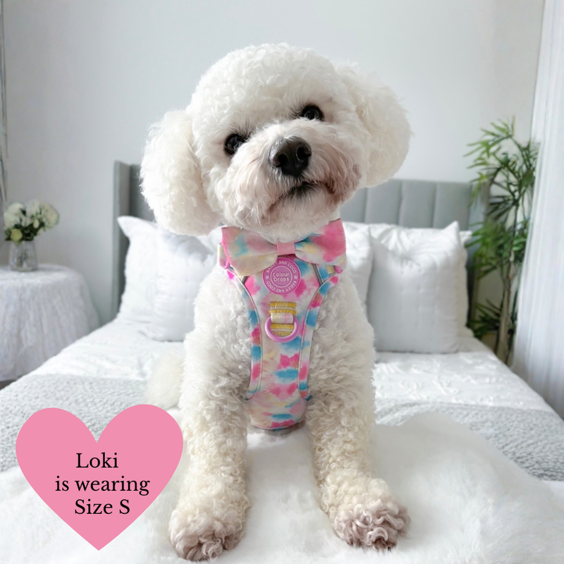Trail & Glow Dog Harness & Lead Set - Colour Drops - Candy Floss