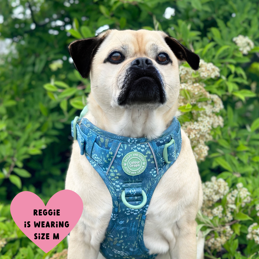 Trail & Glow Dog Harness - COLOUR DROPS® - Touch Grass