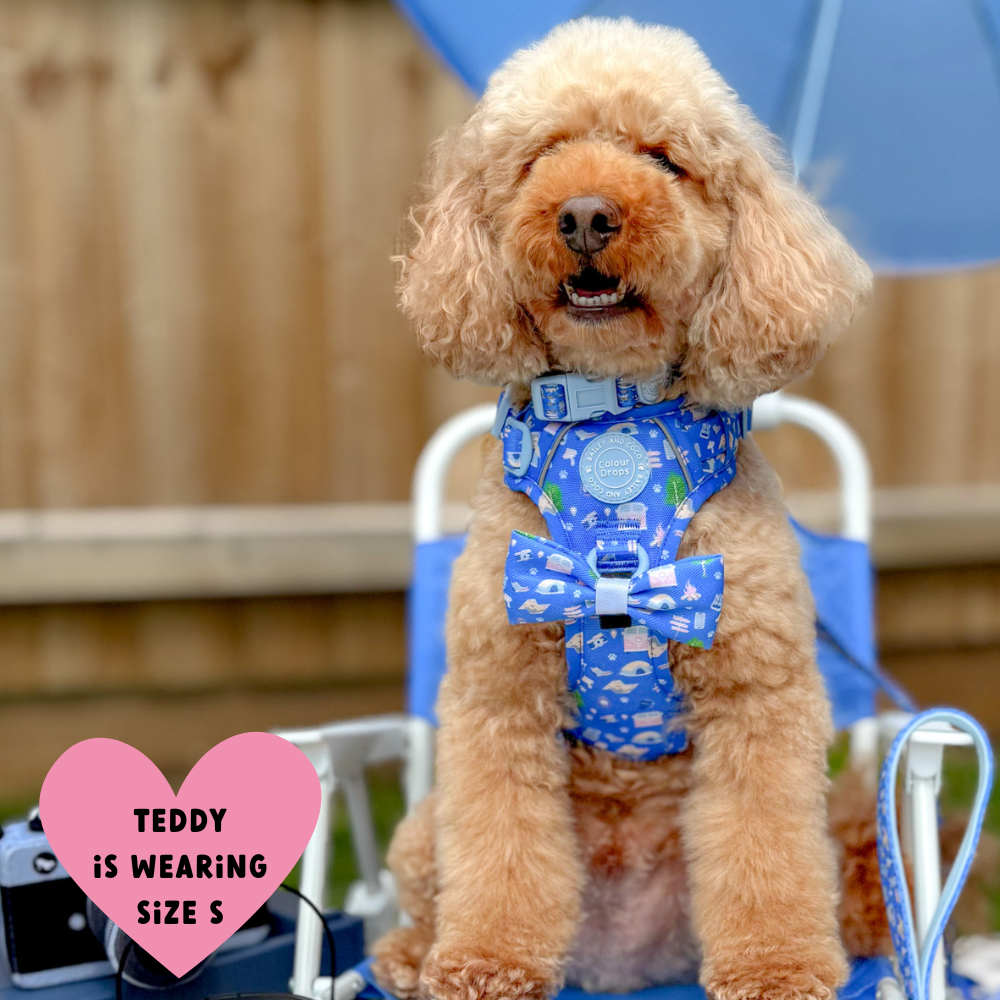 Trail & Glow Dog Harness - COLOUR DROPS® - Pitch, Please