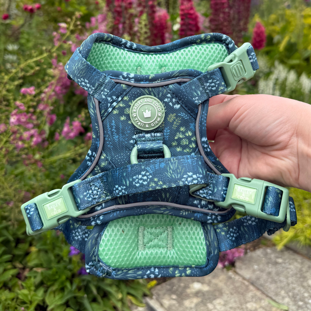 Trail & Glow Dog Harness - COLOUR DROPS® - Touch Grass