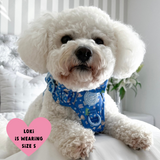 Trail & Glow® Dog Harness Bundle Set - COLOUR DROPS® - Pitch, Please