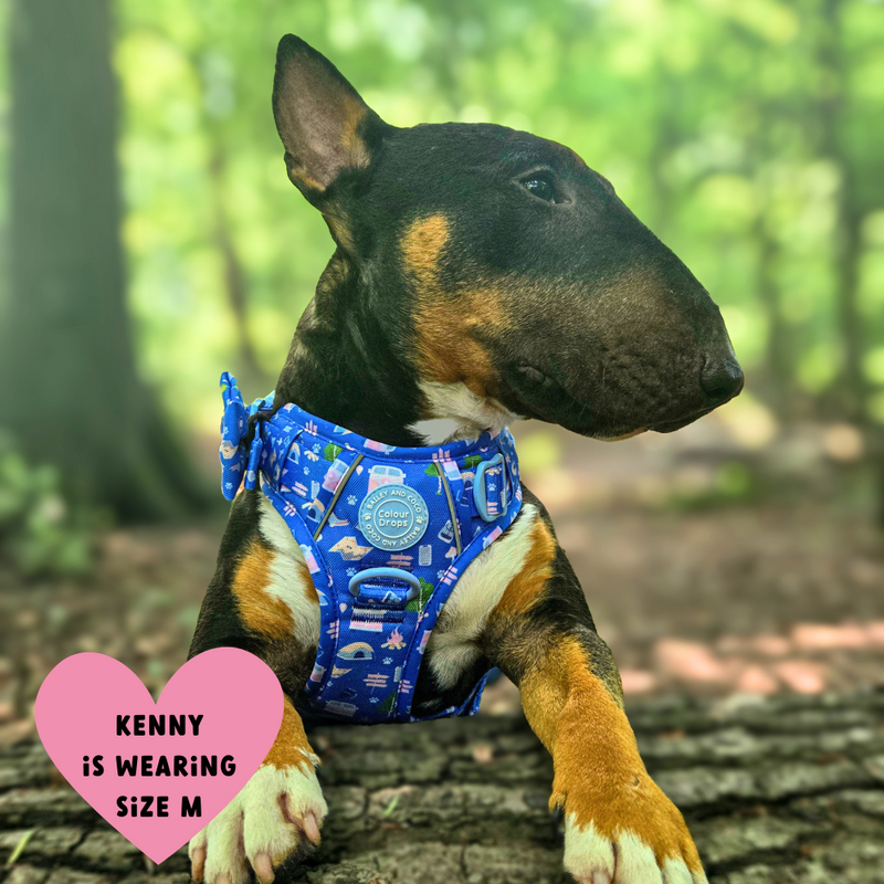 Trail & Glow® Dog Harness Bundle Set - COLOUR DROPS® - Pitch, Please