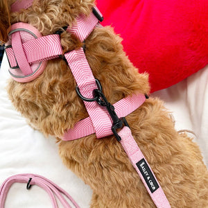 Glow Harness® - Bubblegum Pink Tweed