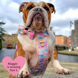 Trail & Glow Dog Harness & Lead Set - Colour Drops - Candy Floss