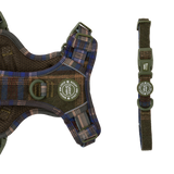 Adjustable Collar - Colour Drops - Mayfair Tweed.