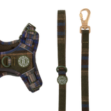 Dog Lead 5ft - Colour Drops - Mayfair Tweed.