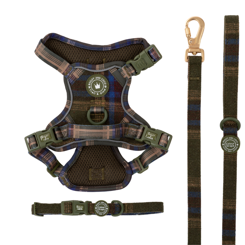 Mayfair Tweed Trail & Glow Dog Harness, Lead & Collar Bundle