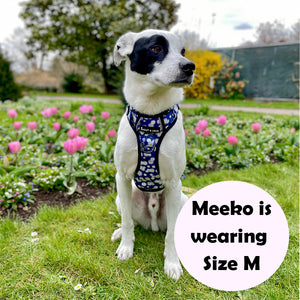 Trail & Glow® Harness – Loves Me, Loves Me Not Daisy.