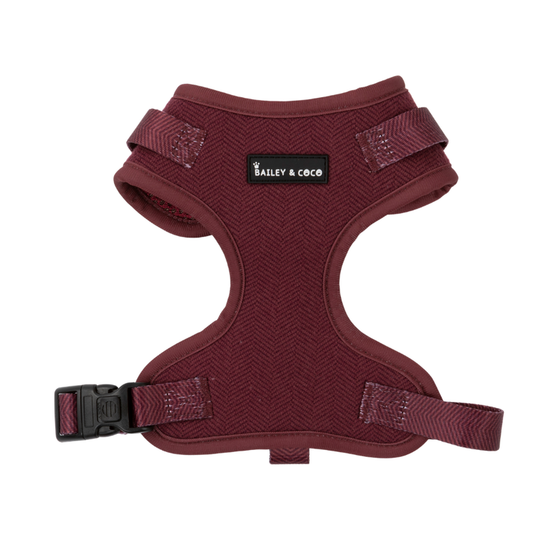 Mulberry Tweed Dog Harness - Adjustable Neck Dog Harness