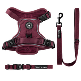 Mulberry Tweed Trail & Glow Dog Harness, Lead & Collar Bundle
