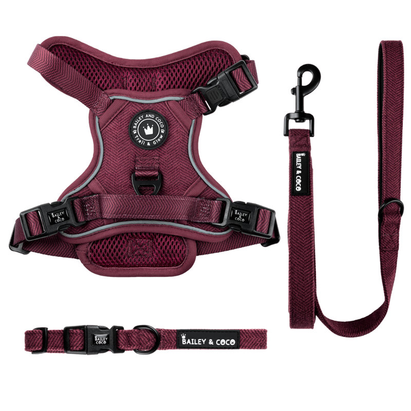 Mulberry Tweed Trail & Glow Dog Harness, Lead & Collar Bundle