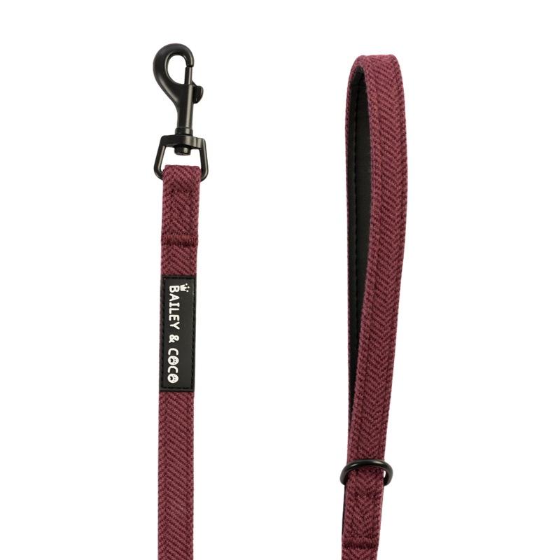 Lightweight Mini Dog Lead 5ft -  Mulberry Tweed