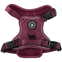 Mulberry