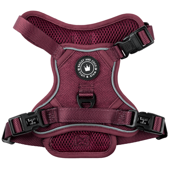 Trail & Glow No-Pull Harness
