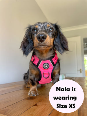Trail & Glow® Dog Harness - The Hot Pink One