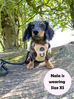 Trail & Glow® Dog Harness Bundle Set - Almond Tweed.