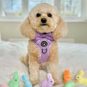 Trail & Glow® Dog Harness - The Lilac One.