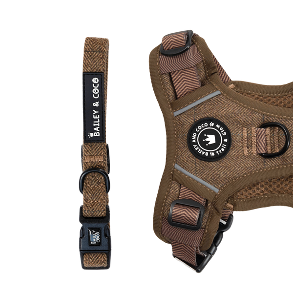 Adjustable Collar - Oxford Tweed