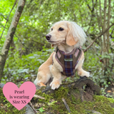 Mayfair Tweed - Colour Drops - Lightweight & Adjustable Dog Harness, Lead, Collar & Dog Walking Bag Bundle.