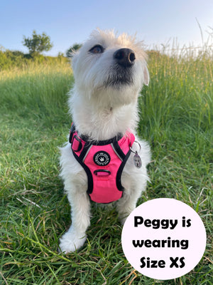 Trail & Glow® Dog Harness - The Hot Pink One