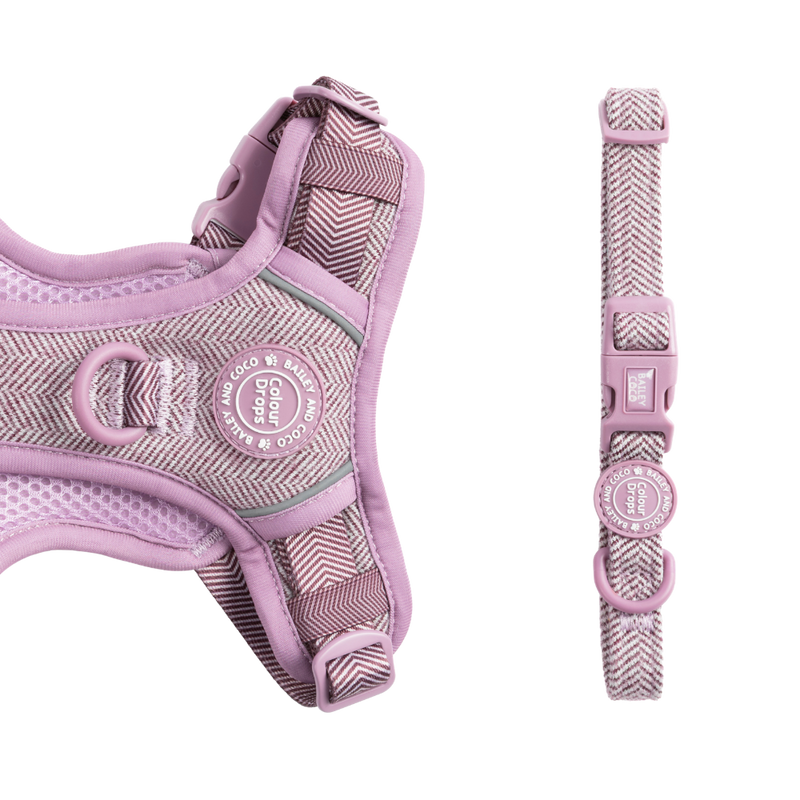 Adjustable Collar - Colour Drops - Plum Tweed