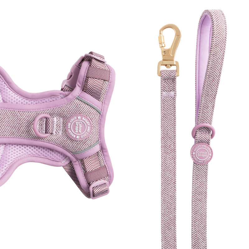 Dog Lead 5ft - Colour Drops - Plum Tweed