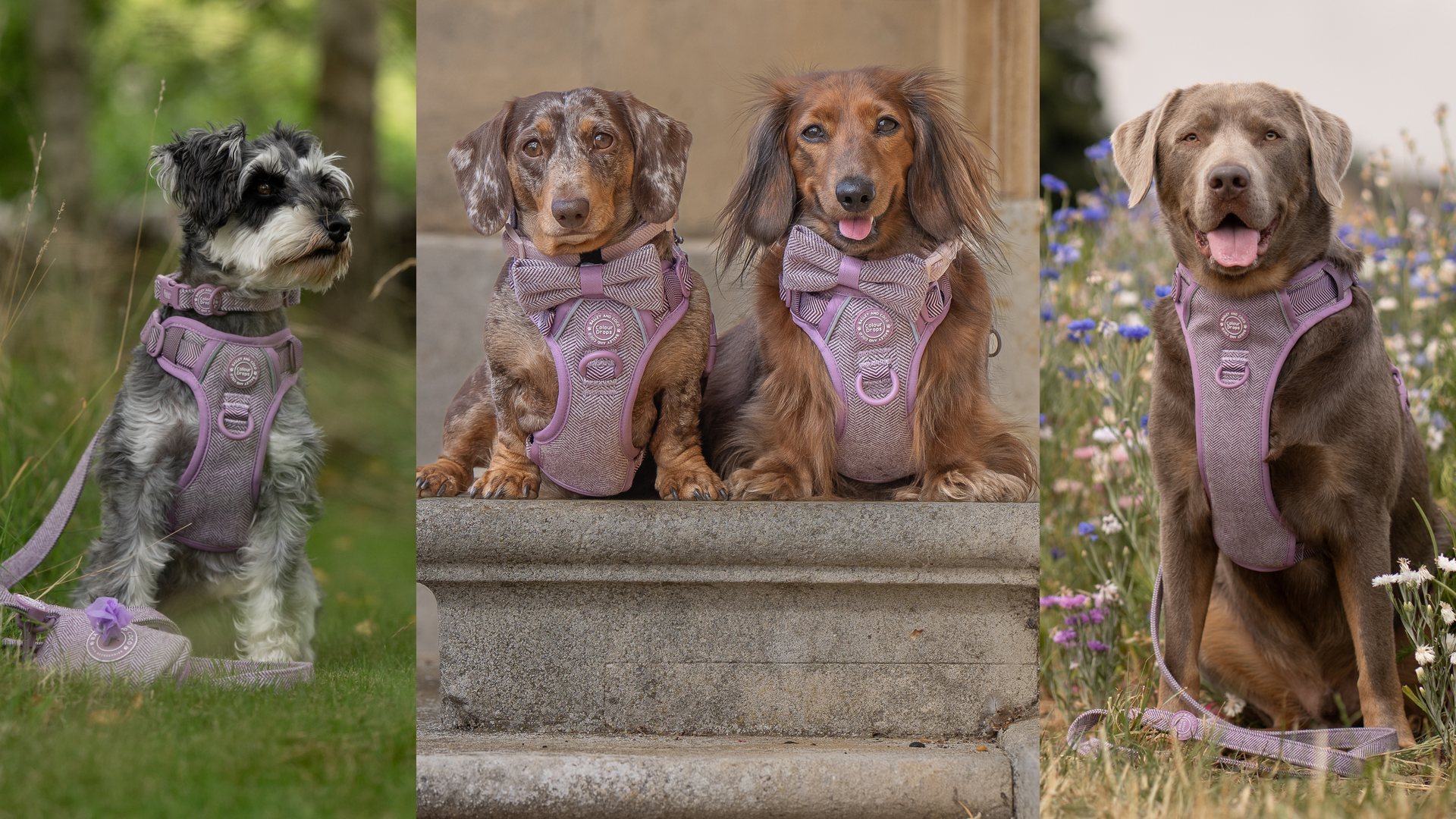 Timeless Tweed. Modern Control.