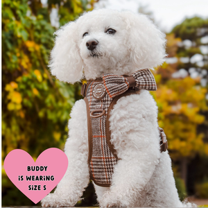 Trail & Glow - Dog Harness Bundle Set - Colour Drops - Heritage Plaid
