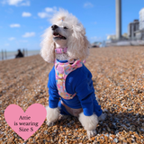 Trail & Glow Dog Harness & Lead Set - Colour Drops - Candy Floss