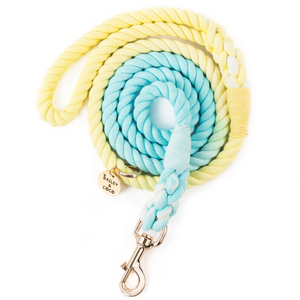 Rope Dog Lead - Ombre Yellow & Cyan.