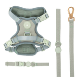 Sage Tweed Trail & Glow Dog Harness, Lead & Collar Bundle