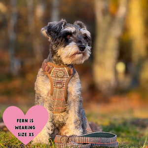 Trail & Glow - Dog Harness Bundle Set - Colour Drops - Heritage Plaid