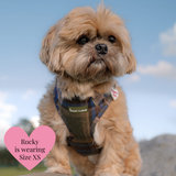 Mayfair Tweed - Colour Drops - Lightweight & Adjustable Dog Harness, Lead, Collar & Dog Walking Bag Bundle.