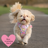 Trail & Glow Dog Harness & Lead Set - Colour Drops - Candy Floss