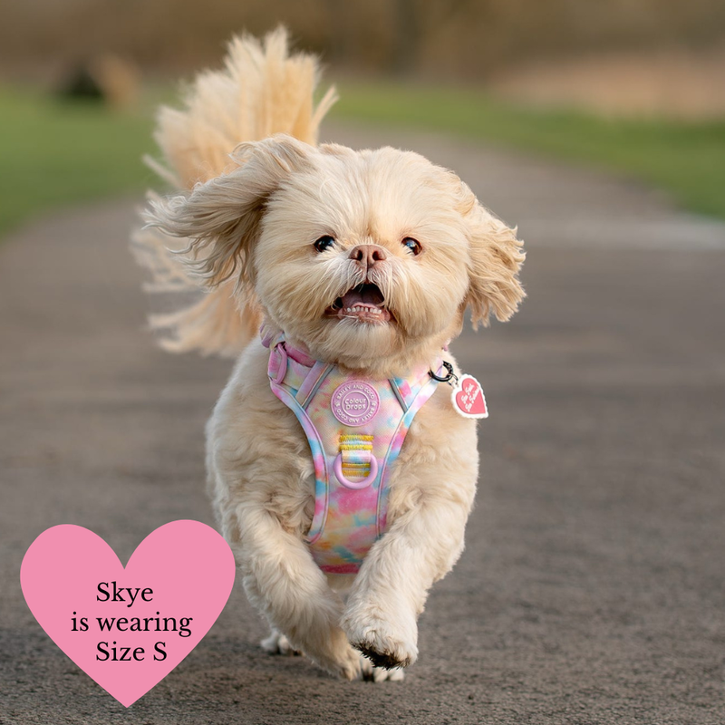 Trail & Glow Dog Harness & Lead Set - Colour Drops - Candy Floss