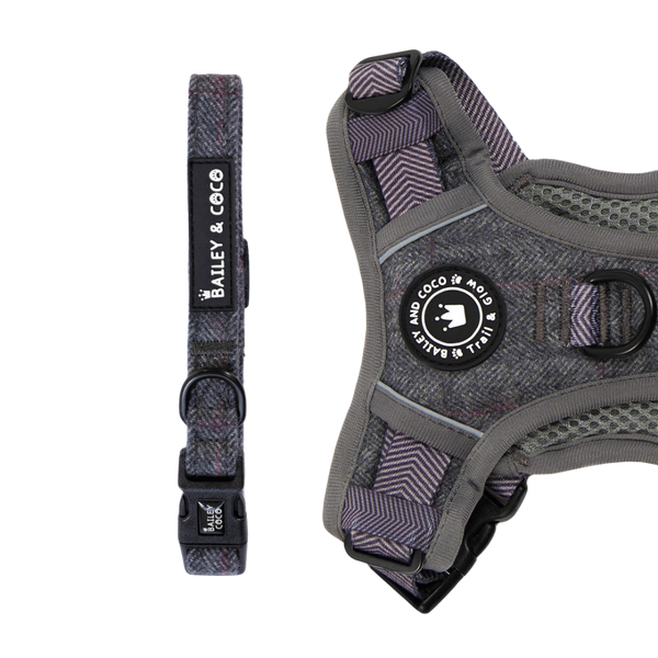 Adjustable Collar - Slate Tweed