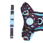 Trail & Glow® Adjustable Collar - COLOUR DROPS® - Space Paws