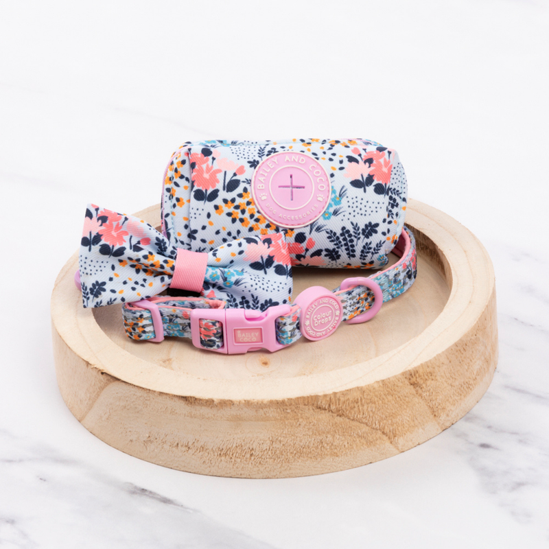 Bow Tie - Colour Drops - Spring Dreams