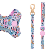 Trail & Glow Dog Lead 5ft - Colour Drops - Spring Dreams