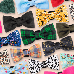 Bow Ties