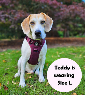 Trail & Glow® Dog Harness - Mulberry Tweed.