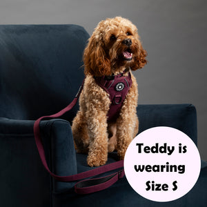 Trail & Glow® Dog Harness - Mulberry Tweed.