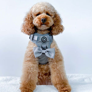 Trail & Glow® Dog Harness - The Silver Grey One.