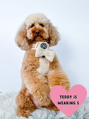 Trail & Glow® Dog Harness - Vanilla Teddy.
