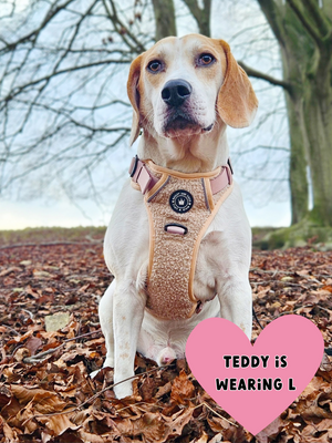 Trail & Glow® Dog Harness Bundle Set - Vanilla Teddy.