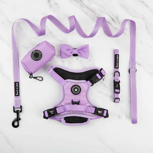 Trail & Glow® Harness Bundle Set - The Lilac One.