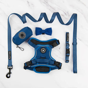 Trail & Glow® Harness Bundle Set - The Ink Blue One.